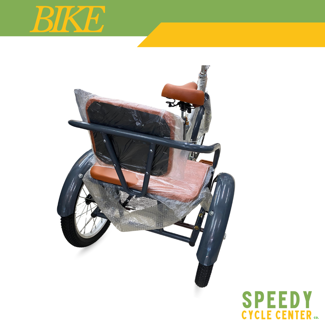 3 Wheels Kiddie Bike With Basket Gray