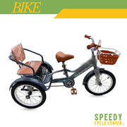 3 Wheels Kiddie Bike With Basket Gray