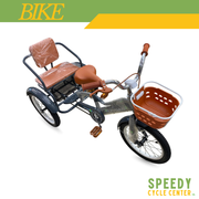 3 Wheels Kiddie Bike With Basket Gray