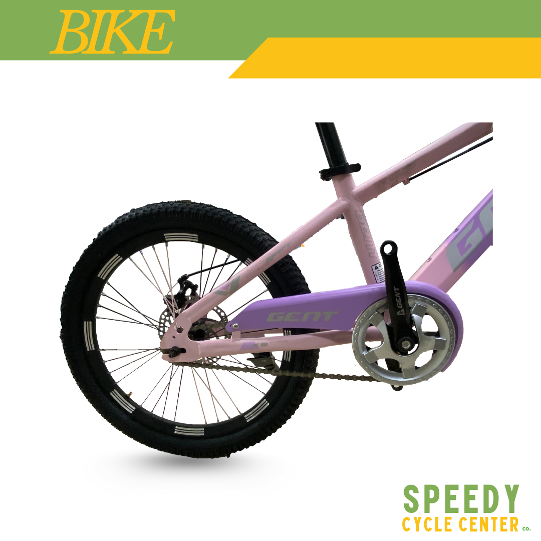 Bike Gent Purple #20