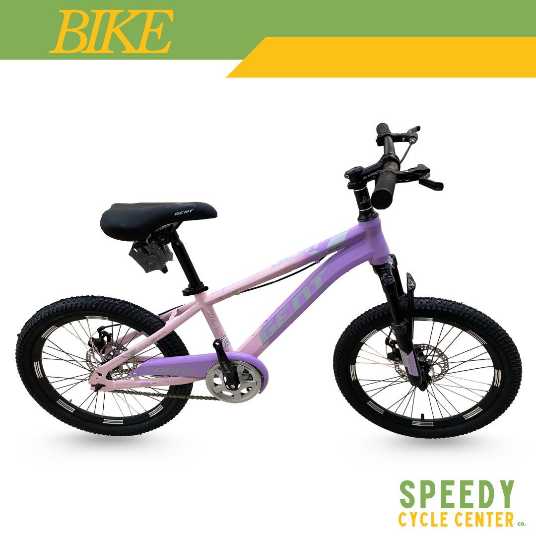 Bike Gent Purple #20